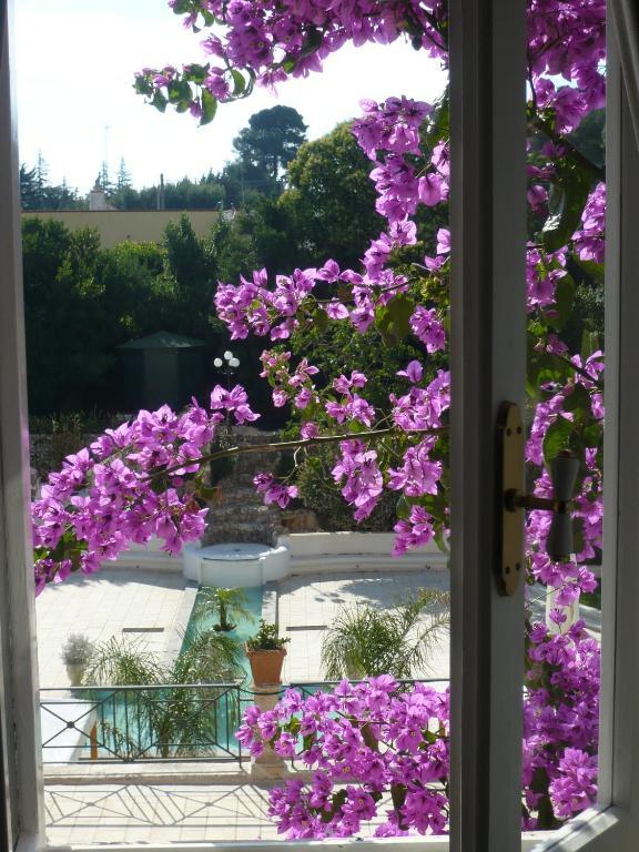 Park Novecento Hotel